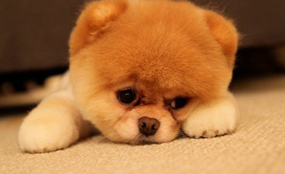 Khi bạn cảm thấy hoang mang với chính sách mới của công ty